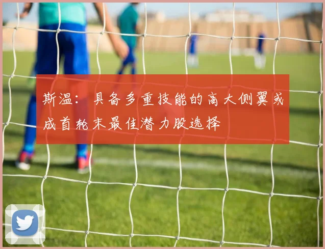 斯温：具备多重技能的高大侧翼或成首轮末最佳潜力股选择