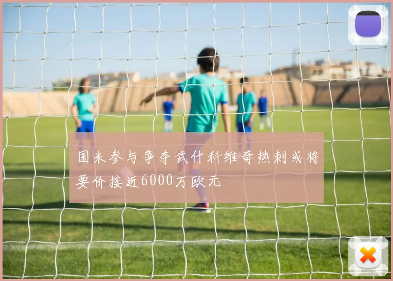 国米参与争夺武什科维奇热刺或将要价接近6000万欧元