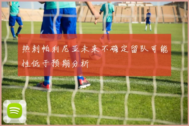 热刺帕利尼亚未来不确定留队可能性低于预期分析
